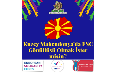 ESC011 - Supporting social inclusion and disabilities on local level